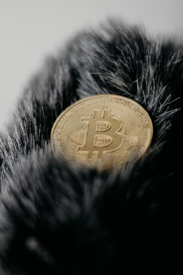 bitcoin